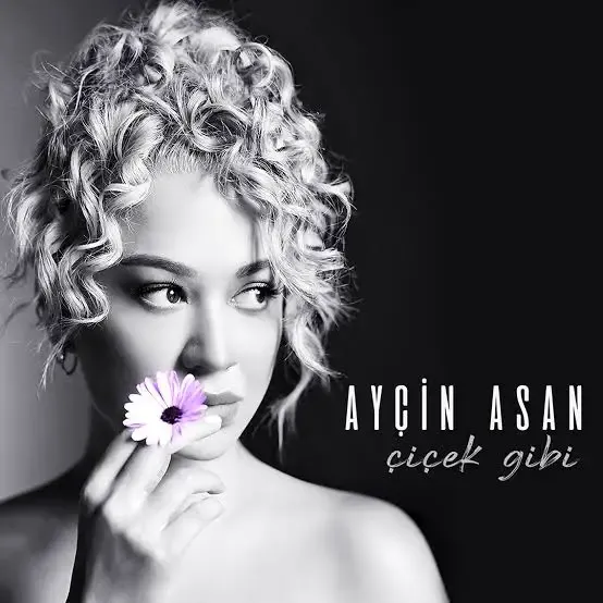 Ayçin Asan